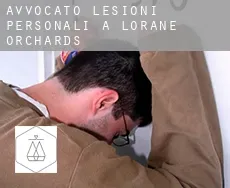 Avvocato lesioni personali a  Lorane Orchards