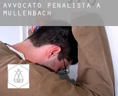 Avvocato penalista a  Müllenbach