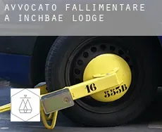Avvocato fallimentare a Inchbae Lodge