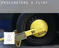 Procuratore a  Flynt