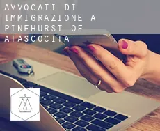 Avvocati di immigrazione a  Pinehurst of Atascocita