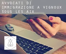 Avvocati di immigrazione a  Vignoux-sous-les-Aix