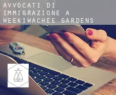 Avvocati di immigrazione a  Weekiwachee Gardens