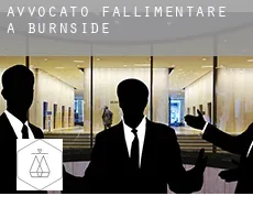Avvocato fallimentare a  Burnside