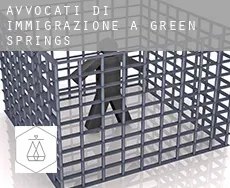 Avvocati di immigrazione a  Green Springs