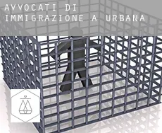 Avvocati di immigrazione a Urbana