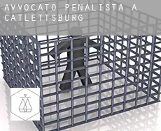 Avvocato penalista a  Catlettsburg