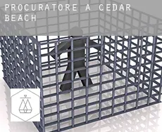 Procuratore a  Cedar Beach