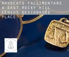 Avvocato fallimentare a  East Rocky Hill
