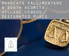 Avvocato fallimentare a  South Acomita Village