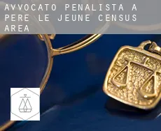 Avvocato penalista a  Père-Le Jeune (census area)