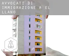 Avvocati di immigrazione a El Llano