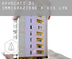 Avvocati di immigrazione a  Kis-Lyn