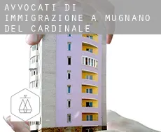 Avvocati di immigrazione a Mugnano del Cardinale