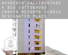 Avvocato fallimentare a  Big Cottonwood Canyon Resorts