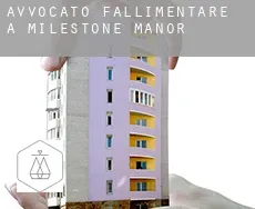 Avvocato fallimentare a  Milestone Manor