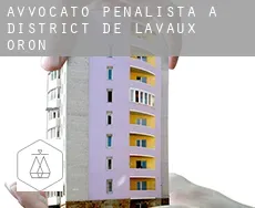 Avvocato penalista a District de Lavaux-Oron