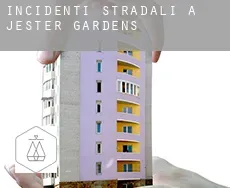 Incidenti stradali a  Jester Gardens