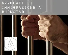 Avvocati di immigrazione a  Burnstad
