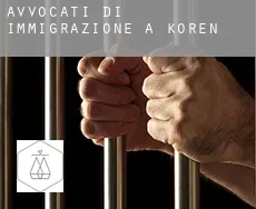 Avvocati di immigrazione a  Koren