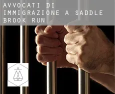 Avvocati di immigrazione a  Saddle Brook Run