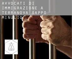 Avvocati di immigrazione a Terranova Sappo Minulio