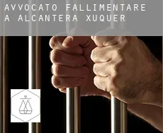 Avvocato fallimentare a  Alcàntera de Xúquer