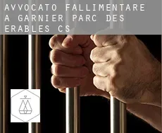 Avvocato fallimentare a  Garnier-Parc-des-Érables (census area)