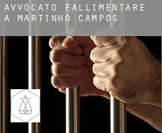 Avvocato fallimentare a  Martinho Campos