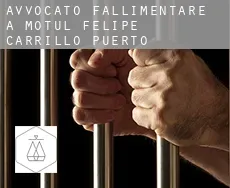 Avvocato fallimentare a Motul de Felipe Carrillo Puerto
