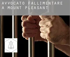 Avvocato fallimentare a  Mount Pleasant