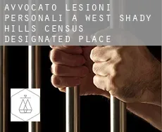 Avvocato lesioni personali a  West Shady Hills