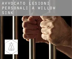 Avvocato lesioni personali a  Willow Sink