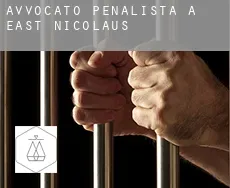Avvocato penalista a  East Nicolaus