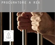 Procuratore a  Rex