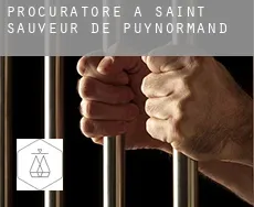 Procuratore a  Saint-Sauveur-de-Puynormand