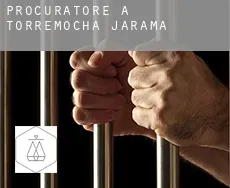 Procuratore a  Torremocha de Jarama