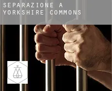 Separazione a  Yorkshire Commons