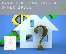 Avvocato penalista a  Upper Bruce
