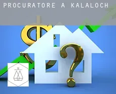 Procuratore a  Kalaloch