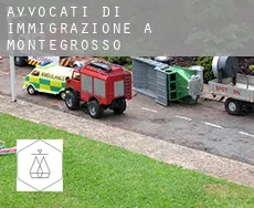 Avvocati di immigrazione a  Montegrosso
