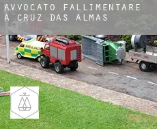 Avvocato fallimentare a  Cruz das Almas