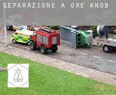 Separazione a Ore Knob