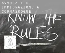 Avvocati di immigrazione a Cornabrogue