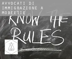 Avvocati di immigrazione a  Mobeetie