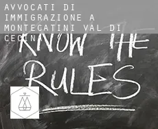 Avvocati di immigrazione a Montecatini di Val di Cecina