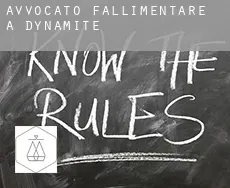 Avvocato fallimentare a Dynamite