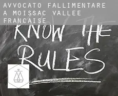 Avvocato fallimentare a  Moissac-Vallée-Française