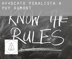Avvocato penalista a  Puy-Aumont