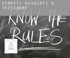 Sfratti avvocati a  Triesdorf